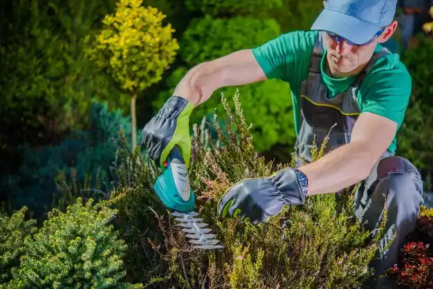 landscaping services Ste. Genevieve